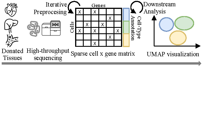 Overview of a typical processing pipeline for scRNA-seq data.